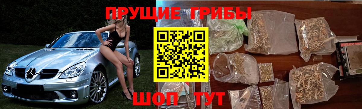 Чистополь  Псилоцибиновые грибы мицелий  Псилоцибиновые грибы Cubensis  Вход с VPN 